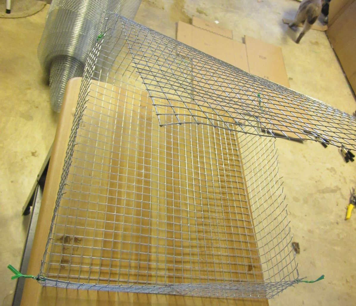 CAVEBEAR'S LAIR Tulip and Hyacinth Bulb Cages