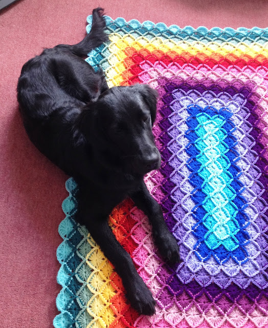 Flowers in the Window My WoolEater Blanket Completed!