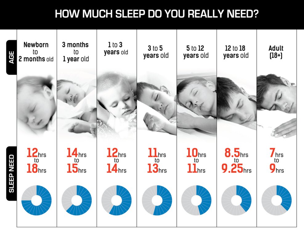Kenapa Anak Muda Sering Tidur Sampai Jam 8 Pagi? Kenapa Anak Muda Sering Tidur Sampai Jam 8 Pagi?