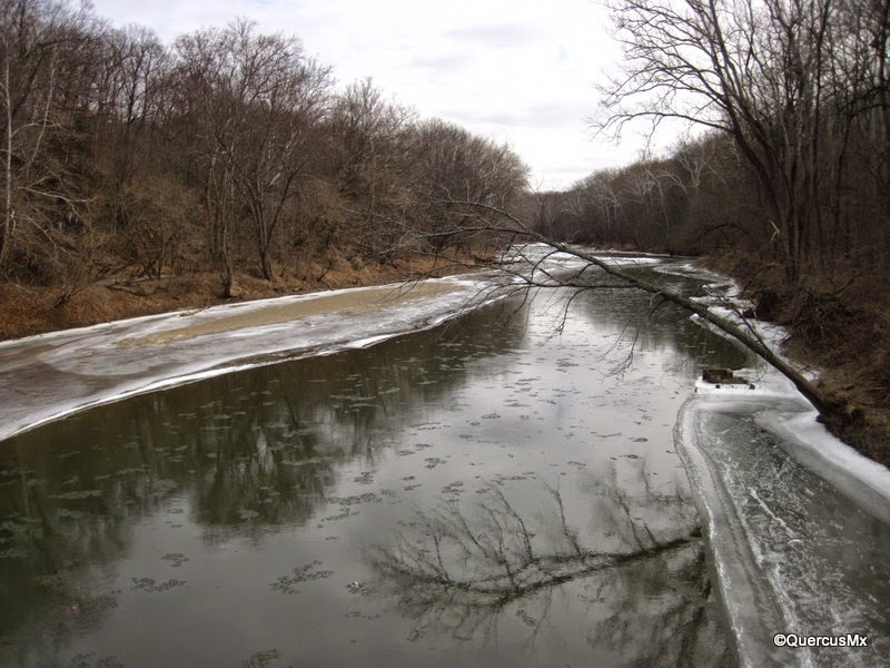 Lost Hikers Turkey Run State Park Una fría excursión