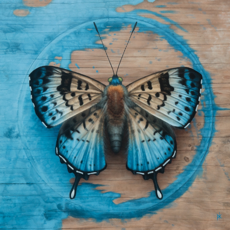 03-Butterfly-Patrick-Kramer-Paintings-of-Butterflies-Flowers-and-Birds-www-designstack-co