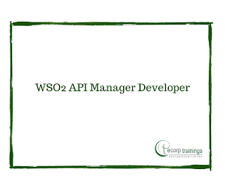WSO2 API Manager Developer 