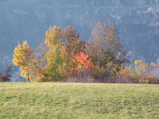chartreuse photos montagne automne
