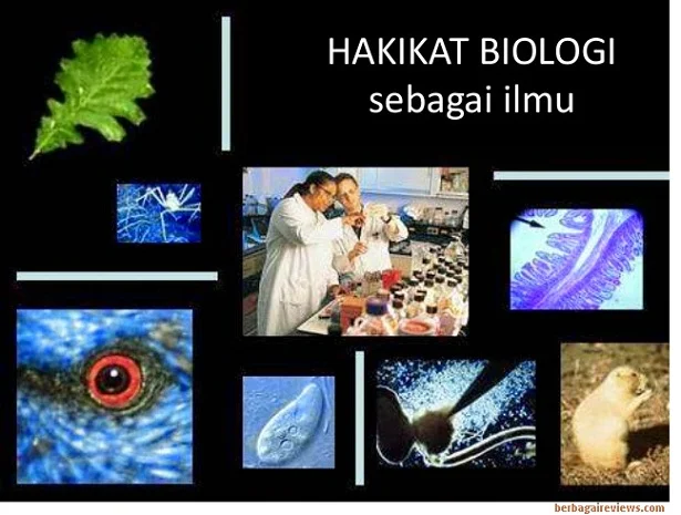 Hakikat biologi - berbagaireviews.com