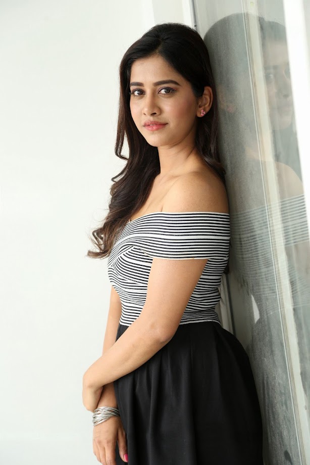Nabha Natesh at Nannu Dochukunduvate Interview