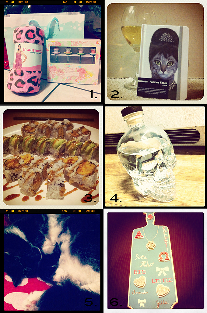 Instagram Diaries #1
