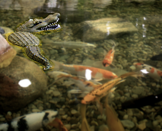 floating alligator decoy