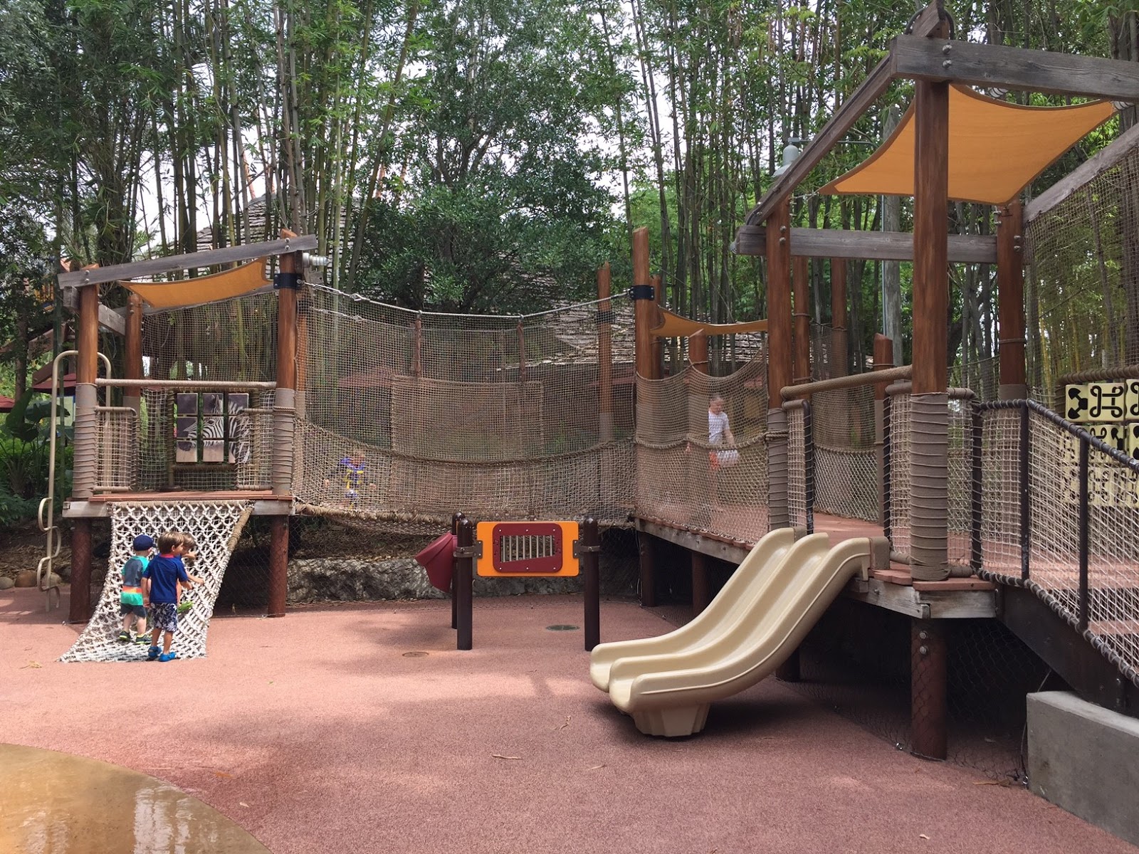 When Tara Met Blog VIP Tips for Staying at Animal Kingdom Lodge