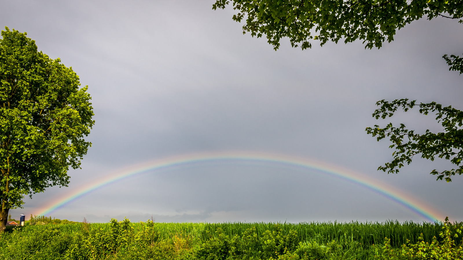 BeebleBlox Am Ende des Regenbogens