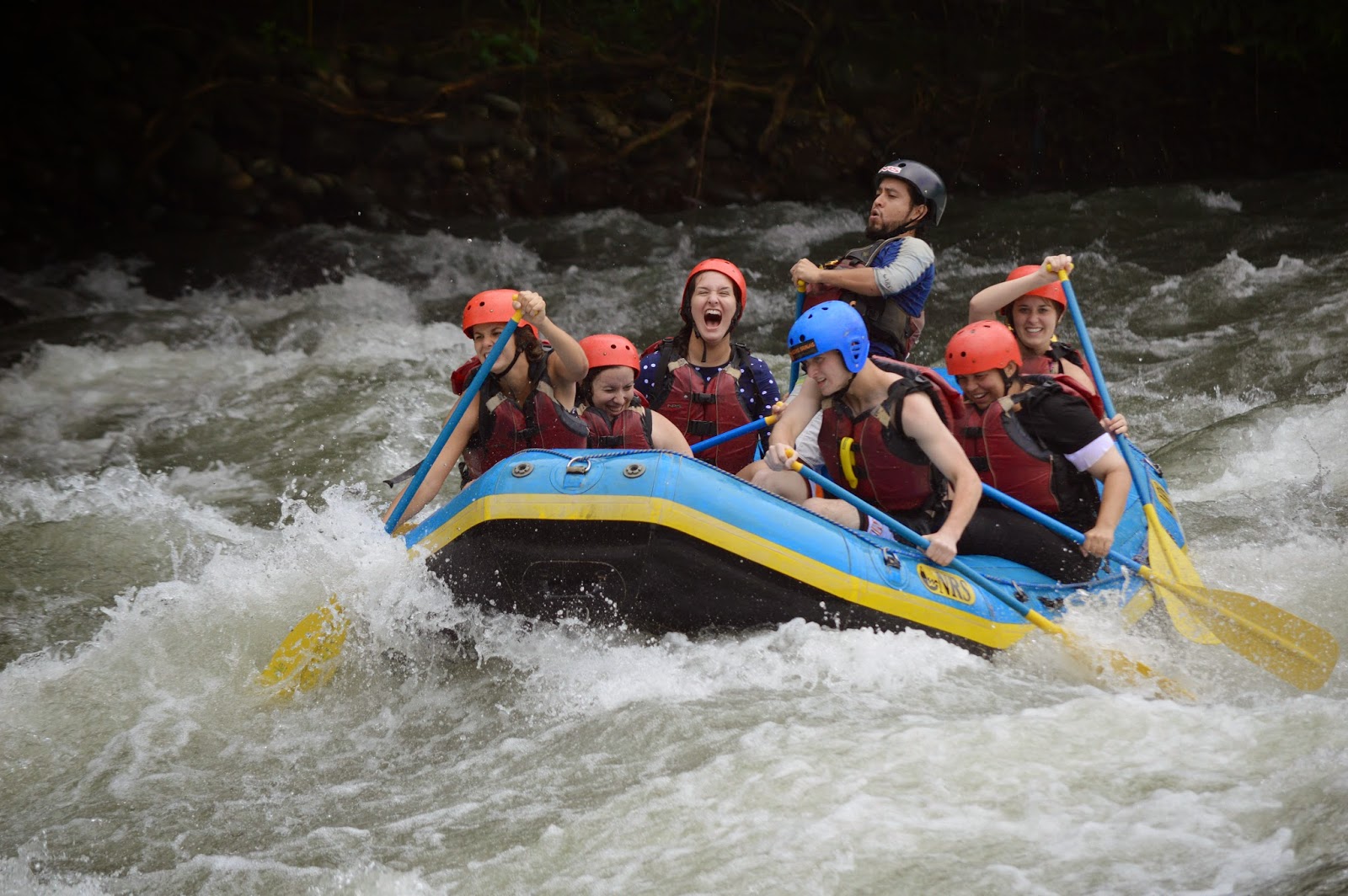 Abundantes Aventuras de Alyse (Alyse's Abundant Adventures AAA) Los