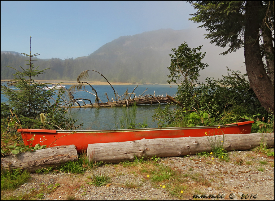 My Garden Sitemeter and Canadian Wildlife Federation photo contest