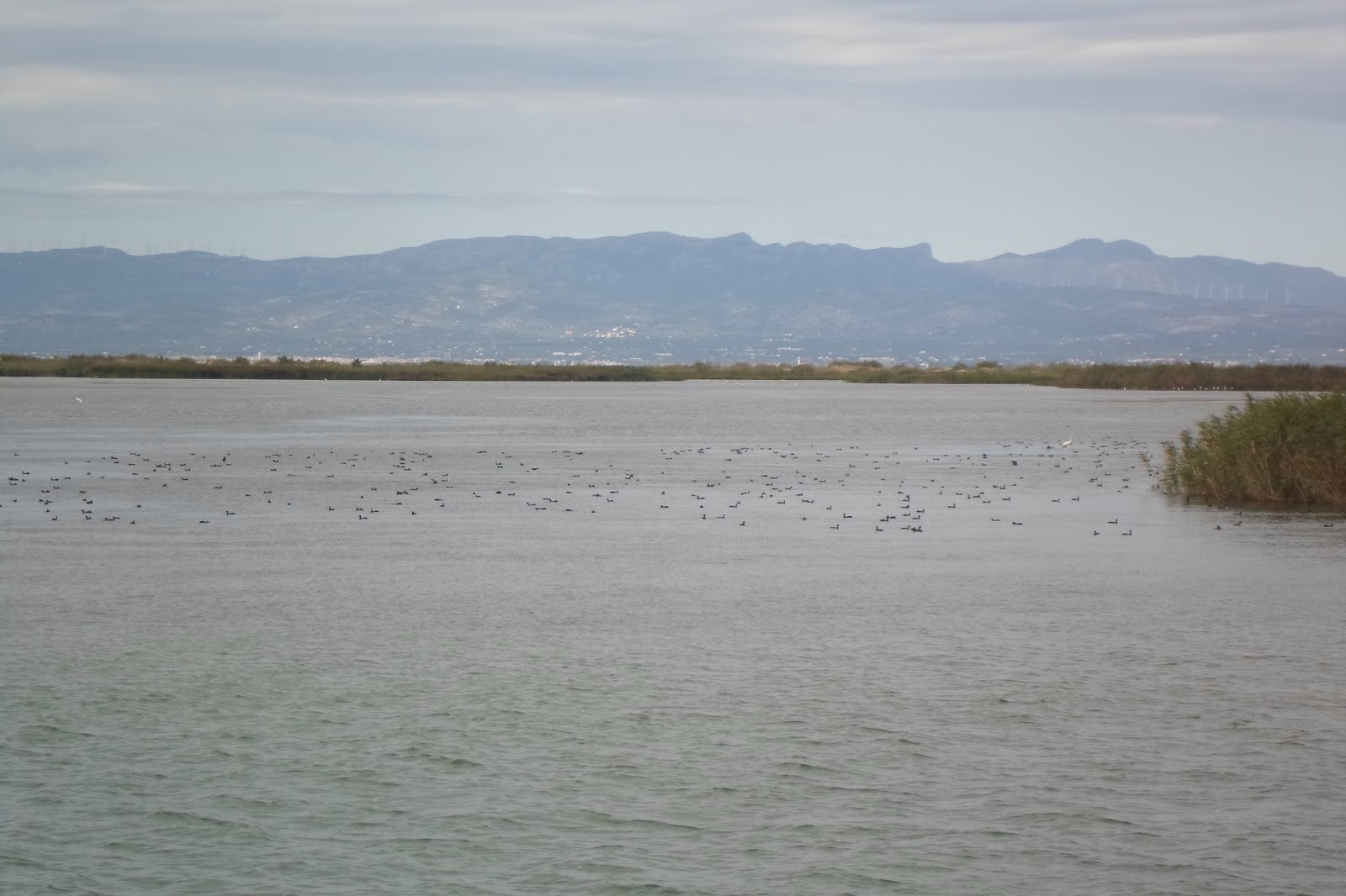 Els Treballs de la Mercè // The Work of Mercè Patchwork: Dos fundas más