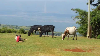 picture of a Kenyan hillside overlooking the Kerio Valley