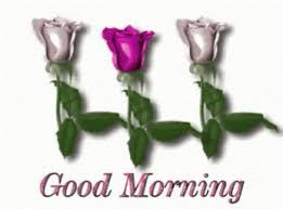 good morning good morning