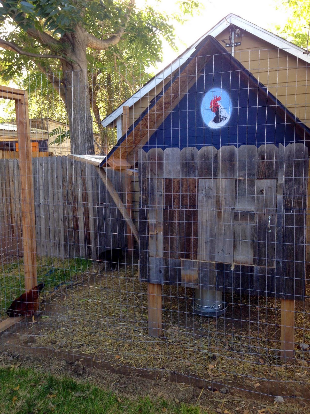 Rocky Top Ramblers Finishing Touchs on the Denver Chicken Coop