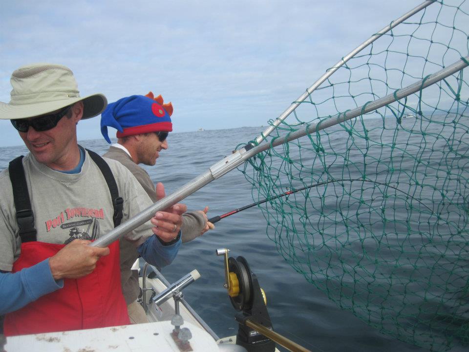 Fennel Pollen Salmon and Roasted Fennel Bulbs