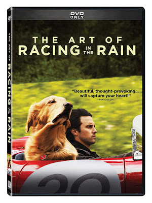 The Art Of Racing In The Rain Dvd