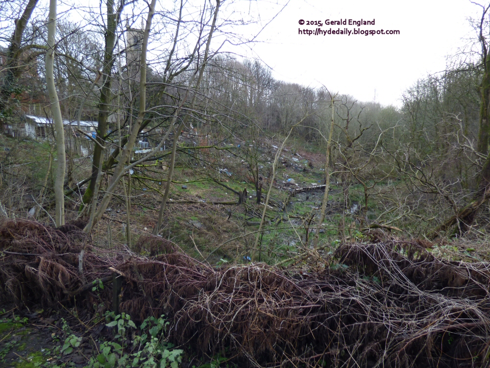 Hyde Daily Photo Volume 2 (20112015) Church Brow Gardens