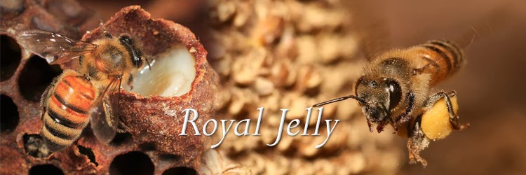 Royal Jelly