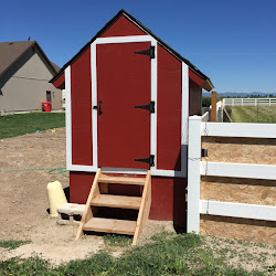 chicken coop pallet pallets build door chickens