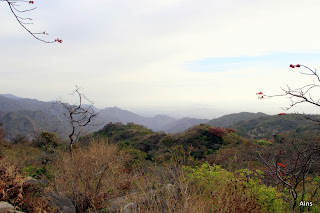 "A panoramic view of Mount Abu, showing a rocky terrain covered in lush greenery with scattered trees and bushes"