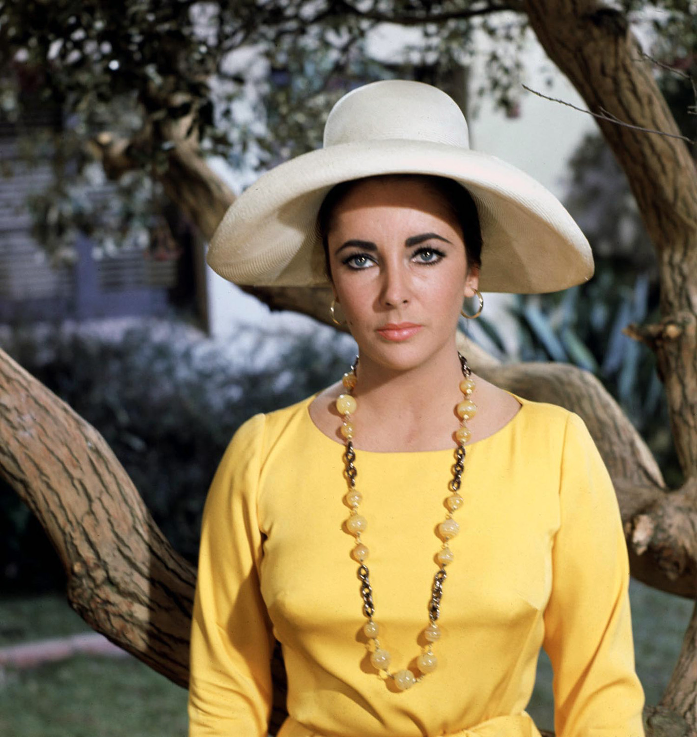 http://2.bp.blogspot.com/-tC4tVj--Rns/TYp7ypo3epI/AAAAAAAAeGQ/_tKnPx6vuVw/s1600/ElizabethTaylor3.jpg