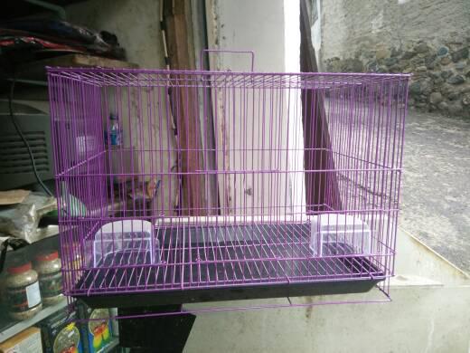 Cara Cara Berternak Burung Yang Baik Dan Benar Cara Sukses