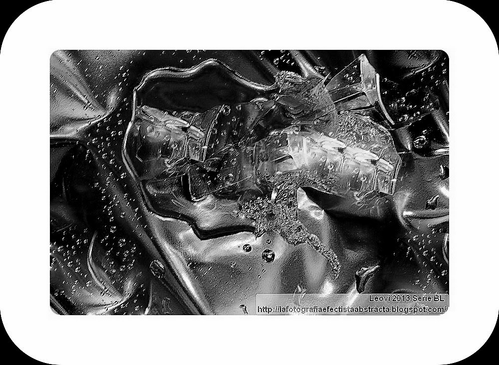 Foto Abstracta 2953 Flor de Pasión - Flor de la Pasión Foto Abstracta 2953 Flor de Pasión - Flor de la Pasión