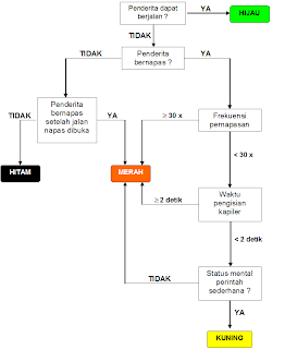 :: Triage ( Penolongan Korban Banyak ) :: | Materi PMR