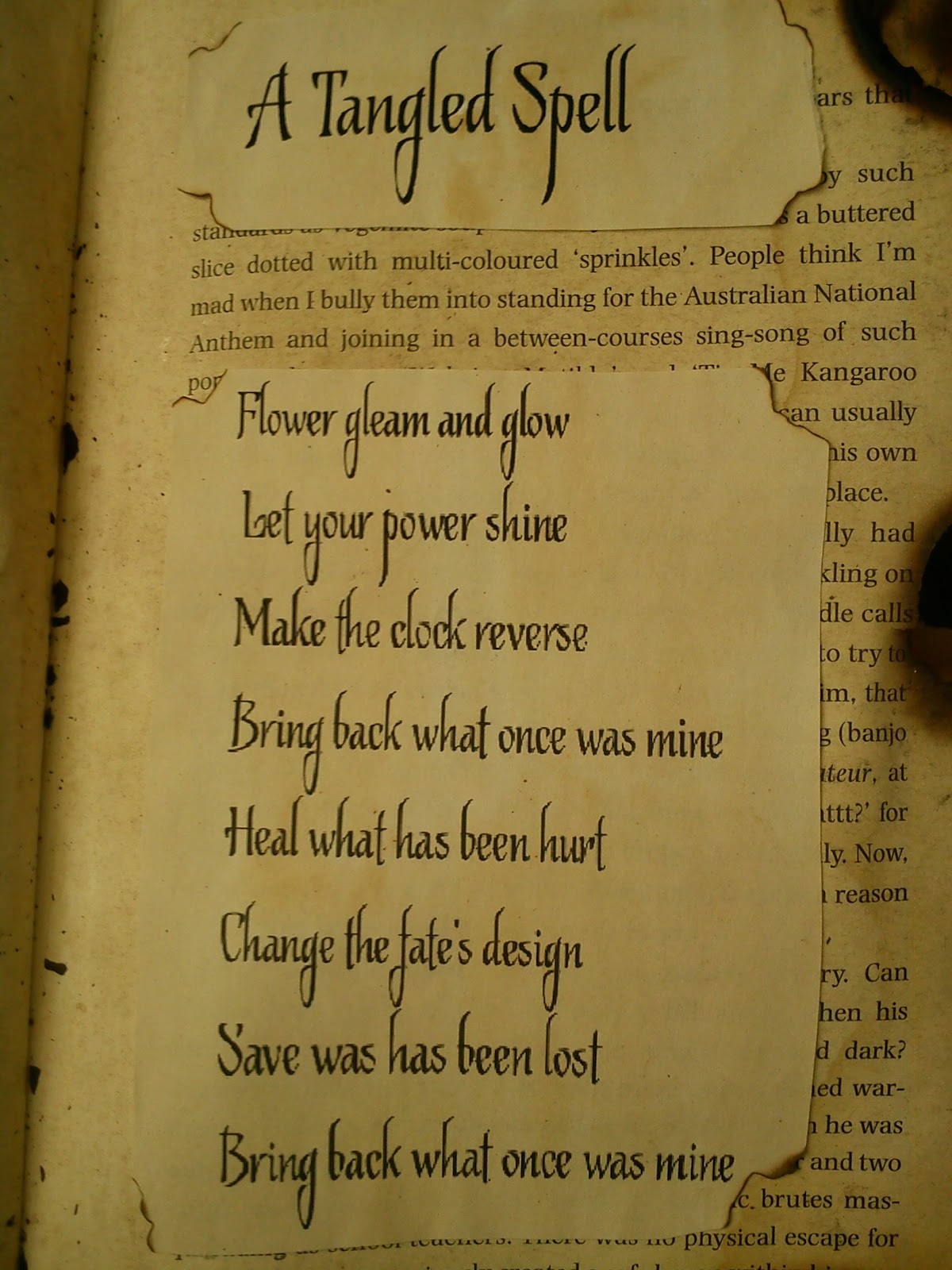 luella lottsworth: winnie's spell book