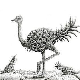 12-Pineapple-ostrich-Tim-Andraka-Funny-Animals-www-designstack-co