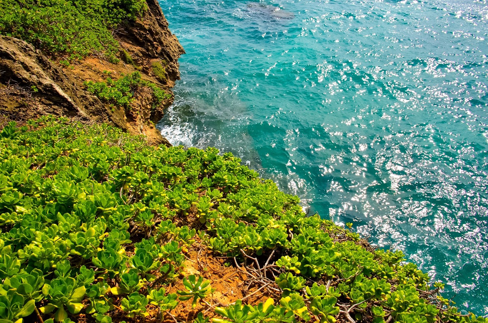 laie point