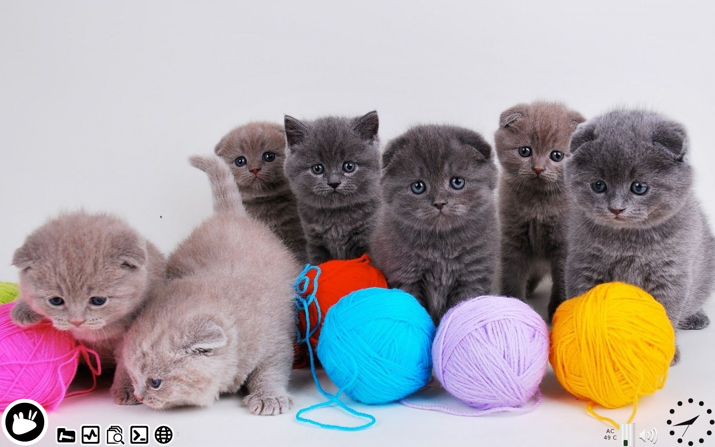 Pisi pisi Maceraya hazır mısın! Bir BSD almaz mısın?