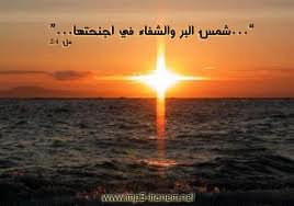آية وقول وحكمة ليوم 8/11