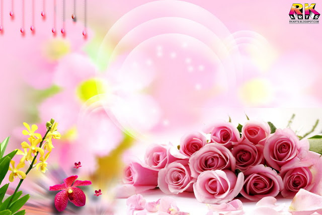Karizma Photo album template sheet design , bunch of pink rose flower 