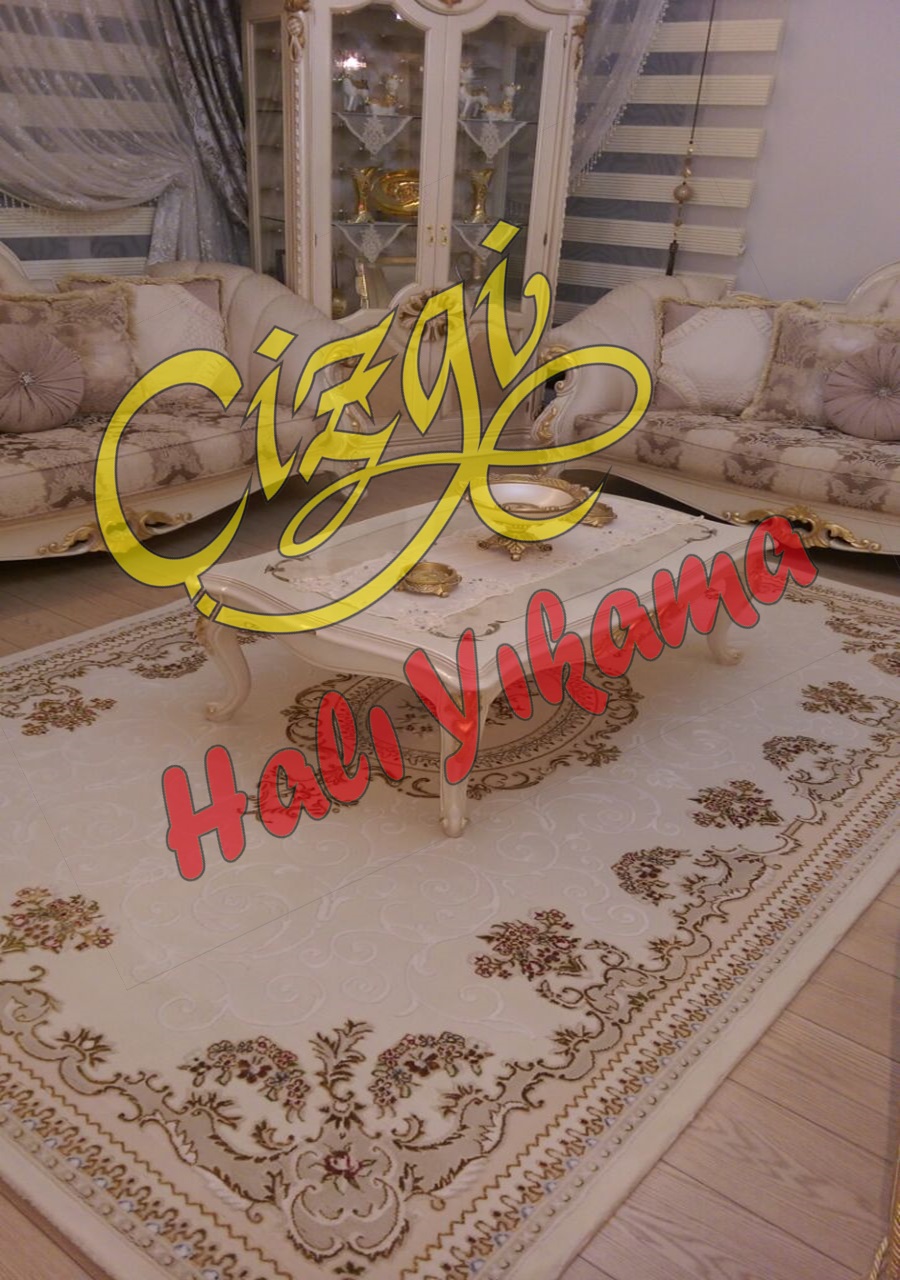 Aydin Da Hali Yikama Www Cizgihaliyikama Com