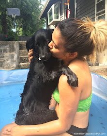A Glimpse of Glam, National Dog Day, The Joy of Having (Wo)Man's Best Friend, Puppy in a Pool, Cute Puppy, Adorable Puppy, Dog, Doggo, Cute Doggo, Puppies, Summer Days, Hot Summer Days, Puppy Picture, Andrea Tiffany