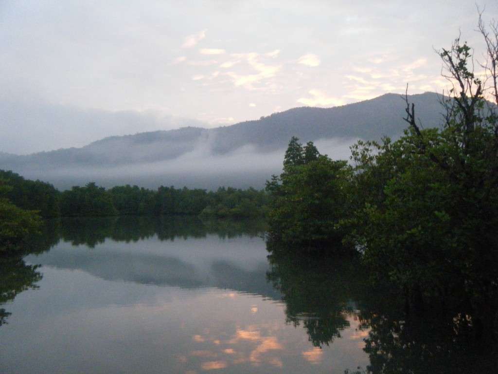 森の湖の写真