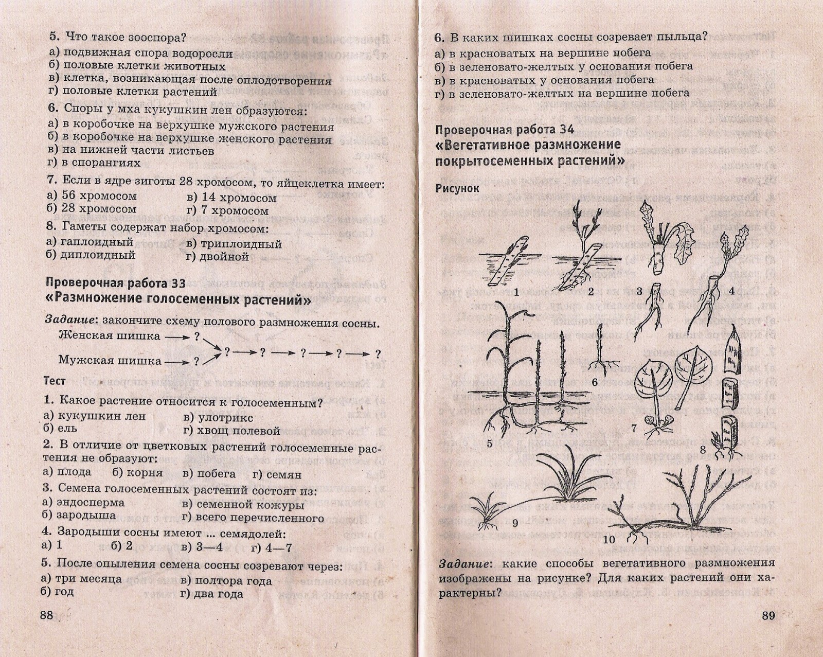 Тесты по биологии 6 класс гексалюк Тесты по биологии 6 класс гексалюк