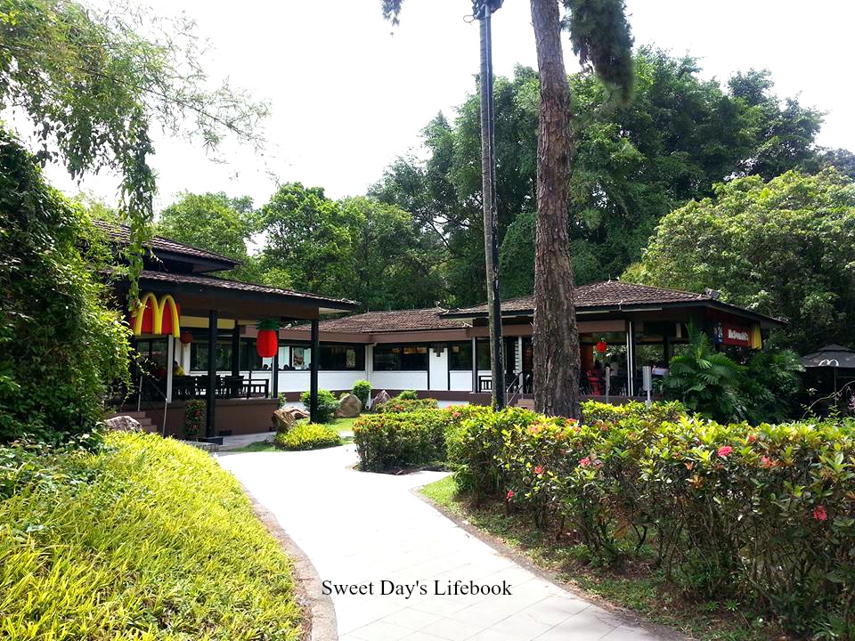 Sweet Day's Lifebook Exploring neighbourhood Queenstown's Ridout Tea