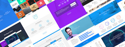 divi theme