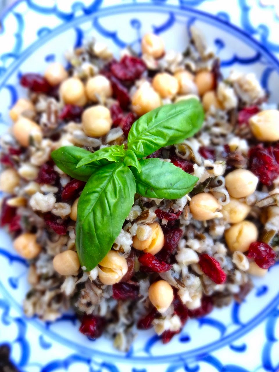 Scrumpdillyicious Barley, Wild Rice & Chickpea Salad with Cranberries