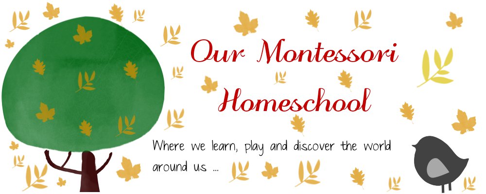 Our Montessori Homeschool