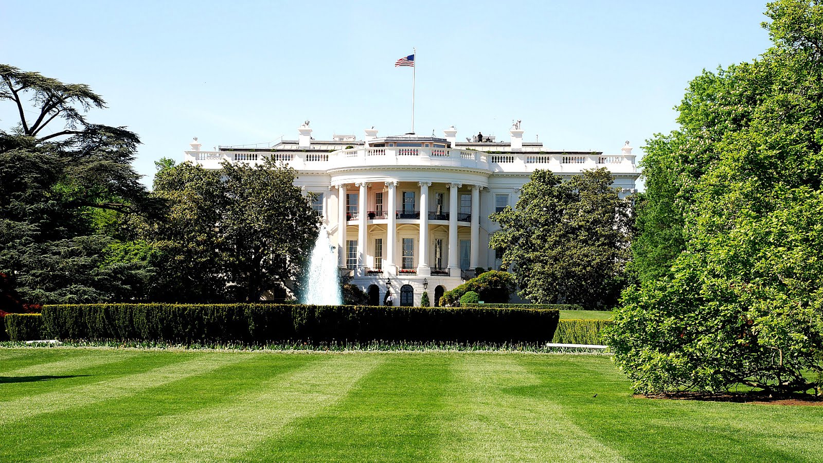 White House Custom Screen Printing White Choices