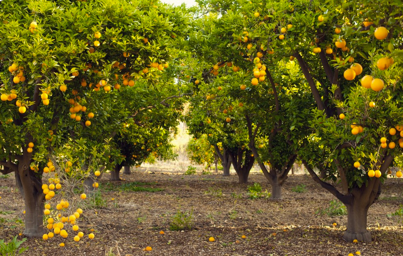 SearchReSearch February 2014