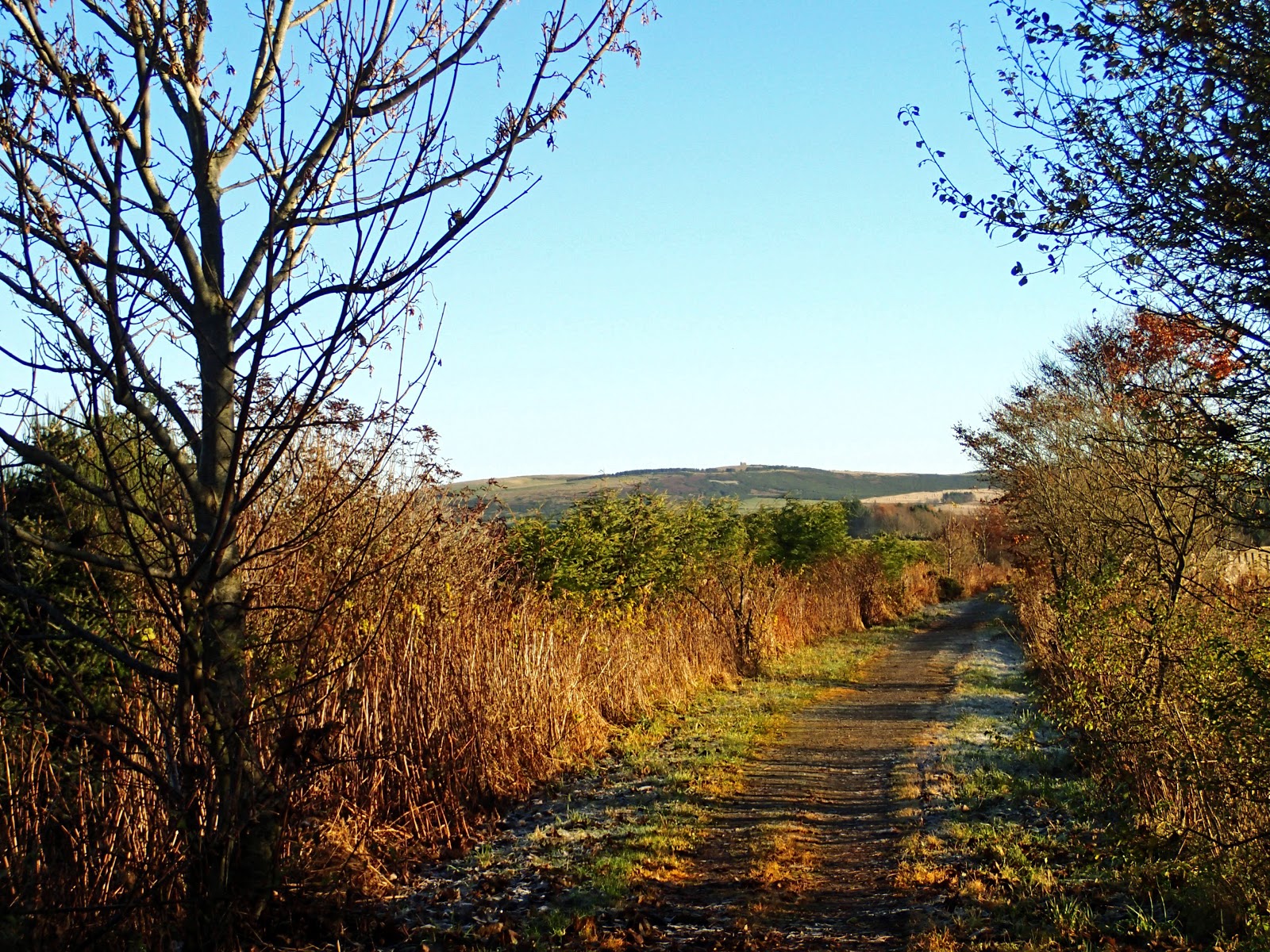 Walking The Line: Strichen Community Park to Viewbank Bridge, McEwans Ale.