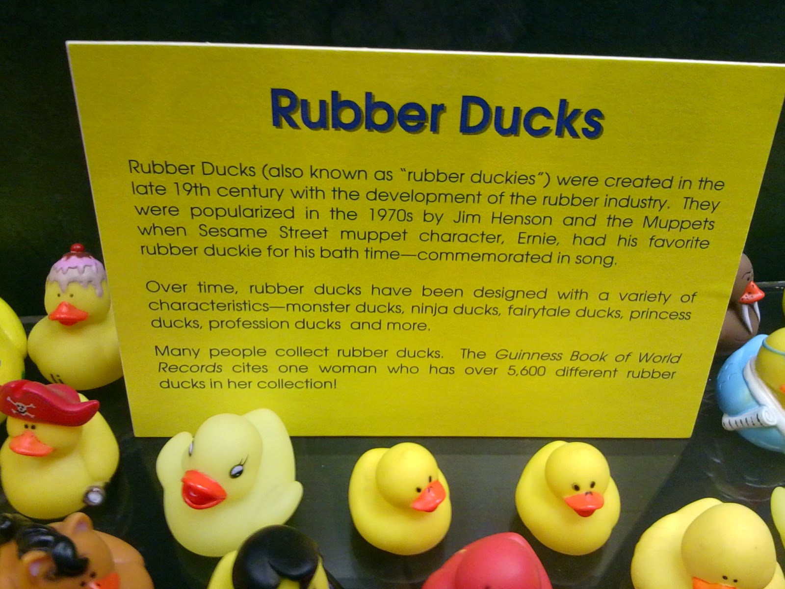 Objects Objectified Rubber Ducky You're The One