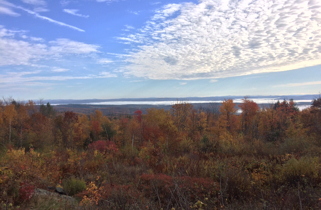 Pioneer Birding VT Putney morning