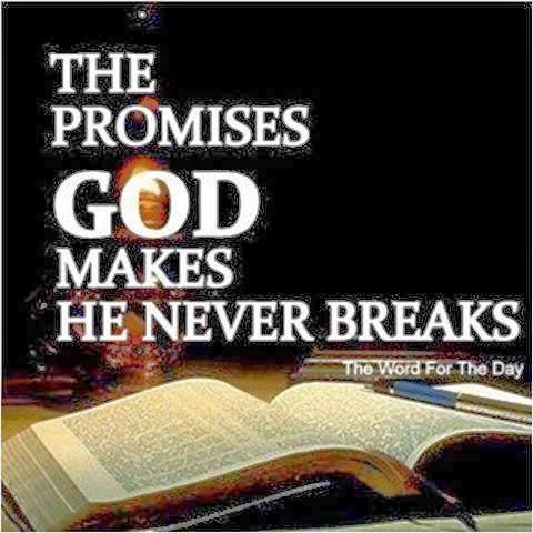 promises breaks faith bishop oyedepo convert poor nairaland many father amazing