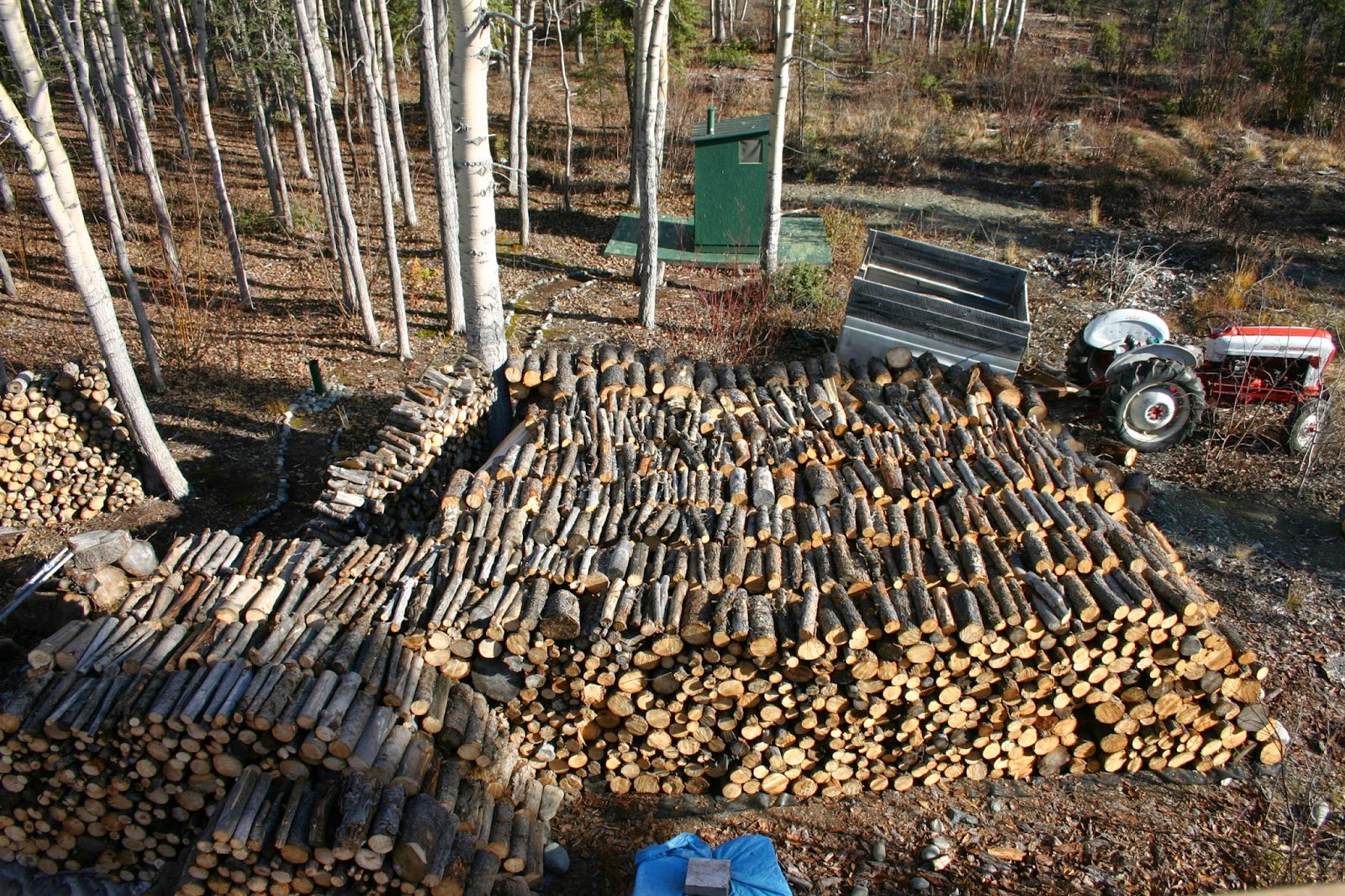 What's It Really Like To Live In A Log Cabin In Alaska? Bearfoot Alaska Guides Travel Alaska